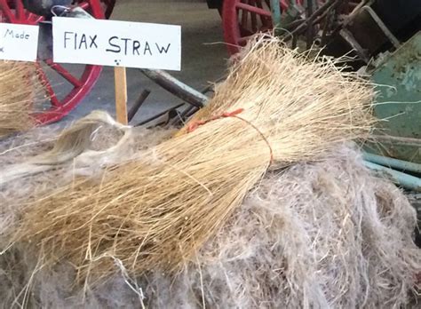  Blended Flax Fiber: A Textile Revolution Waiting to Happen?