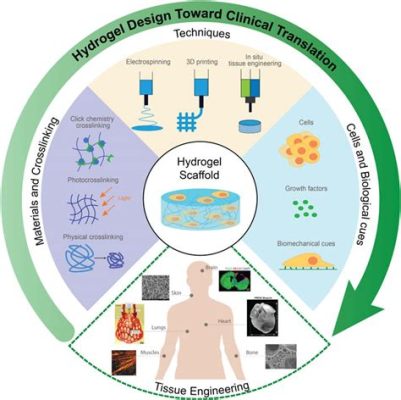  Implantable Hydrogels: 혁신적인 조직공학의 미래를 위한 다재다능한 재료!