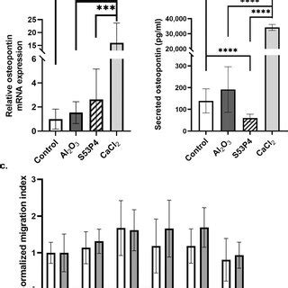  Osteopontin: 이 똑똑한 생체재료는 어떻게 만들어지는 걸까요?